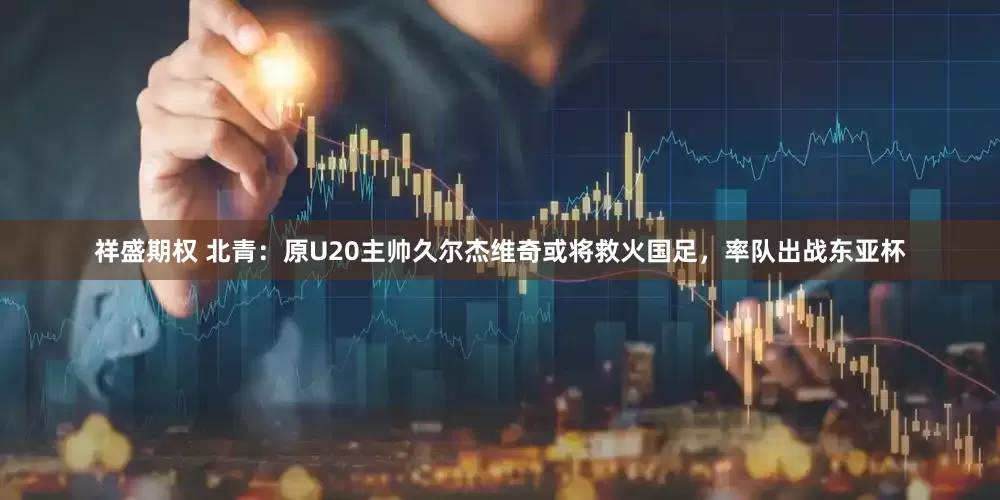 祥盛期权 北青：原U20主帅久尔杰维奇或将救火国足，率队出战东亚杯