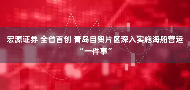 宏源证券 全省首创 青岛自贸片区深入实施海船营运“一件事”