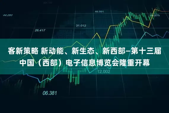 客新策略 新动能、新生态、新西部—第十三届中国（西部）电子信息博览会隆重开幕