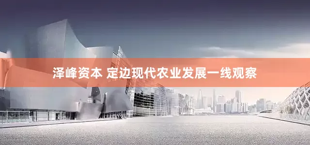 泽峰资本 定边现代农业发展一线观察