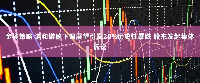 金橘策略 诺和诺德下调展望引发20%历史性暴跌 股东发起集体诉讼