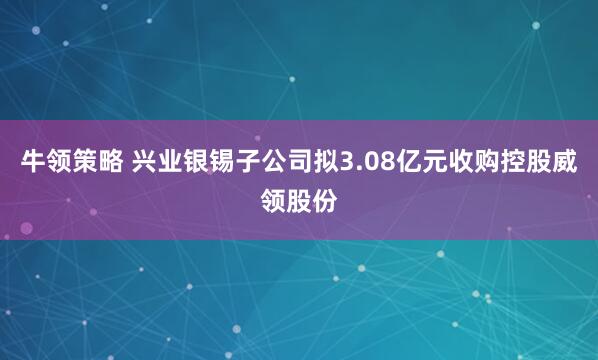 牛领策略 兴业银锡子公司拟3.08亿元收购控股威领股份